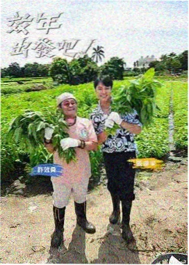 旧物新生 海报